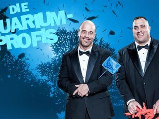 Die Aquarium-Profis