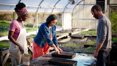 Homegrown - Aus Liebe zum Garten