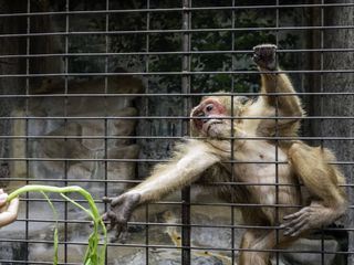 Terra X Harald Lesch