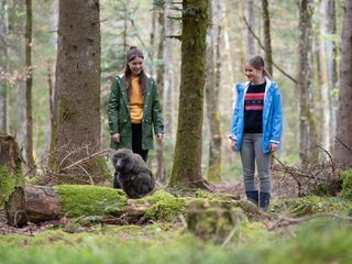Tiere bis unters Dach