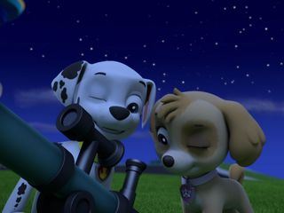 PAW Patrol - Helfer auf vier Pfoten