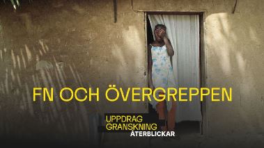 Uppdrag granskning sommar