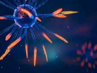 The Proof is Out There - Alien Edition