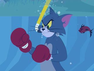 Die Tom und Jerry Show