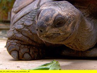 Tierisch durch die Kaelte