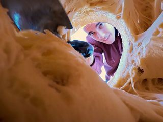 Elefant, Tiger & Kids: Zoo-Praktikum Backstage