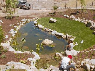 Fish Tank Kings - Gigantische Wasserwelten