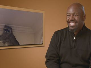 Gefaehrliche Begegnungen der tierischen Art