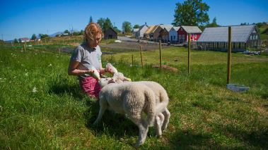 Droemmen om ett småbruk