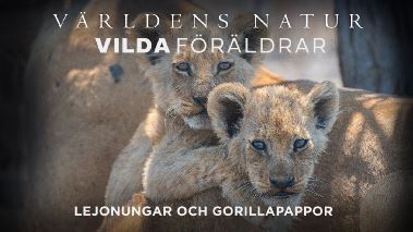 Vaerldens natur: Vilda foeraeldrar