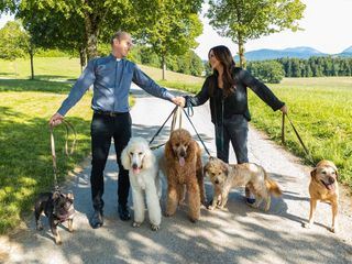 Fruehling: Auf den Hund gekommen