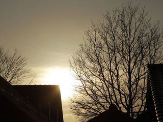 Der XXL-Ostfriese - Unterwegs mit Knochenbrecher Tamme Hanken