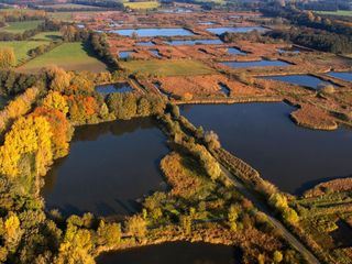 Wasserwildnis in Westfalen - Muensters Rieselfelder