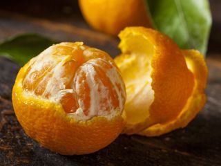 Food Factory USA - Woher kommt unser Essen?