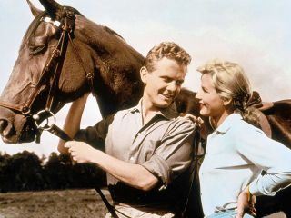 Was die Schwalbe sang