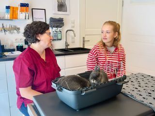 Nina und die Haustiere