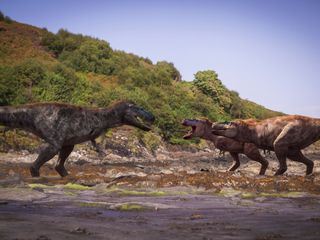 Terra X: Unter Dinos - Geheimnisse der Urzeit