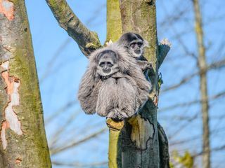 Zoo und so - Tierisch wild!