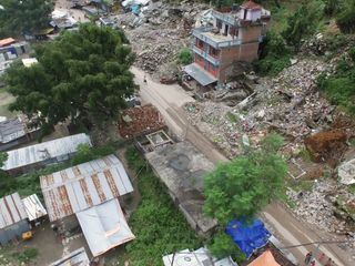 Naturkatastrophen: Wie Tiere und Pflanzen ueberleben