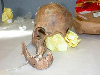 Cold Case Files