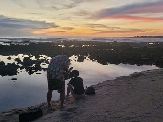Haie auf Angriff - Den Jaegern auf der Spur