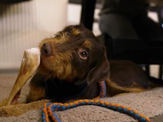 Die Unvermittelbaren - Mit Martin Ruetter