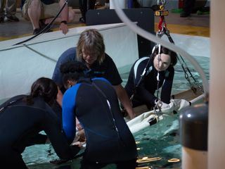 Bronx Zoo - Tierpark der Superlative