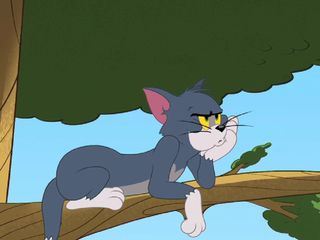 Die Tom und Jerry Show