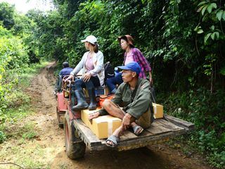 Laos: Futterbloecke und Bueffel-Leasing