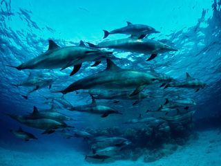 Expedition Mittelmeer