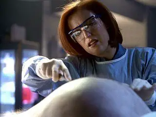 Akte X - Die unheimlichen Faelle des FBI Akte X - Die unheimlichen Faelle des FBI