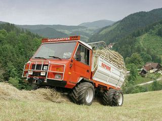 Steirischer Almsommer in der Lipizzanerheimat
