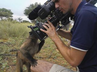 Das Waisenhaus fuer wilde Tiere
