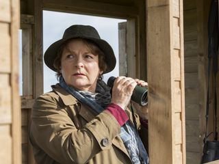 Les enquêtes de Vera: Liberté provisoire