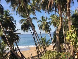 Gruenes Wunder Costa Rica