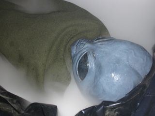 Mysterien der Vergangenheit Mysterien der Vergangenheit