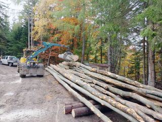 Erlebnis Österreich