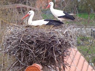 Versteckte Paradiese