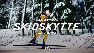 Skidskytte: Vaerldscupen