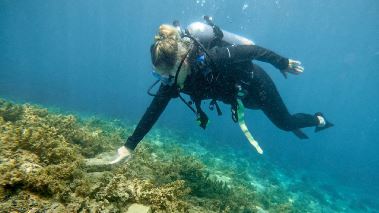 Arvinge okaend Danmark - Mysteriet med slavskeppen