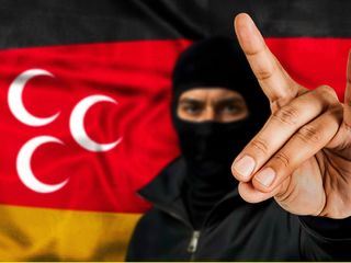 Im Visier der Grauen Woelfe