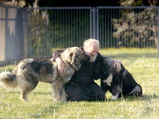 Georgien: Die Schaeferhunde der Moenche