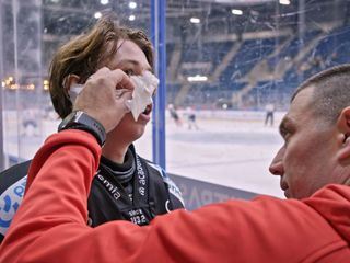 Freiwilligenarbeit - Unverzichtbare Stuetze der Gesellschaft