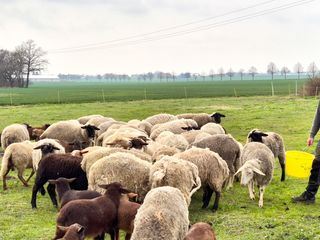 Unser Dorf hat Wochenende