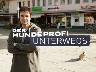 Der Hundeprofi unterwegs