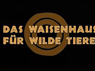 Das Waisenhaus fuer wilde Tiere