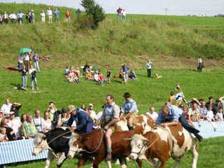 Bayerisches Rodeo