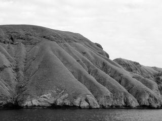 Komodo: Reich der Drachen Komodo: Reich der Drachen