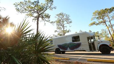 Tiny House, Big Living