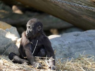 Taronga Zoo Hautnah Taronga Zoo Hautnah